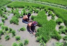 Acqua invisibile: come satelliti e co-progettazione stanno riscrivendo la gestione delle risorse idriche nell’era della crisi climatica