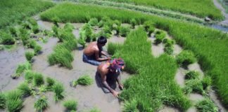 Acqua invisibile: come satelliti e co-progettazione stanno riscrivendo la gestione delle risorse idriche nell’era della crisi climatica