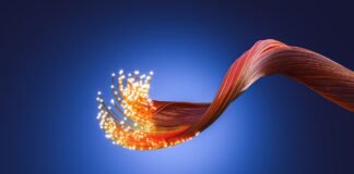 Con la fine del Pnrr, le telecomunicazioni rischiano fino a 12mila esuberi (ma c'è una buona notizia)