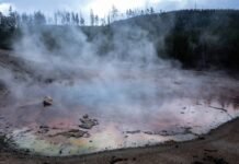 Yellowstone, torna in attività il geyser acido Echinus