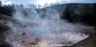 Yellowstone, torna in attività il geyser acido Echinus