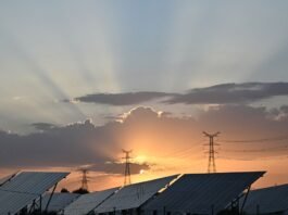 Usare l'energia solare per produrre elettricità dopo il tramonto: un team di ricercatori ha “hackerato” il legno per riuscirci