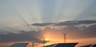 Usare l'energia solare per produrre elettricità dopo il tramonto: un team di ricercatori ha “hackerato” il legno per riuscirci